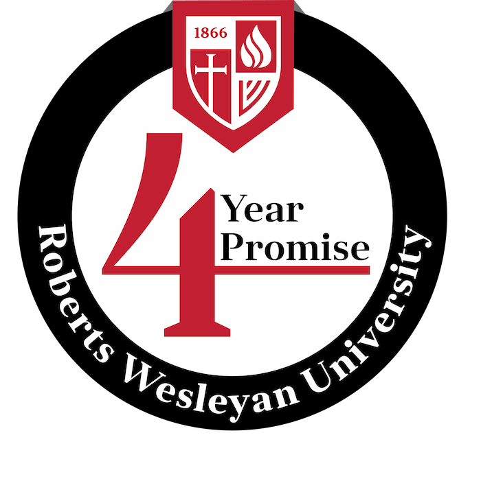 4 Year Promise Icon