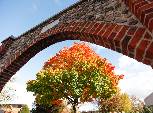 Arch with Tree