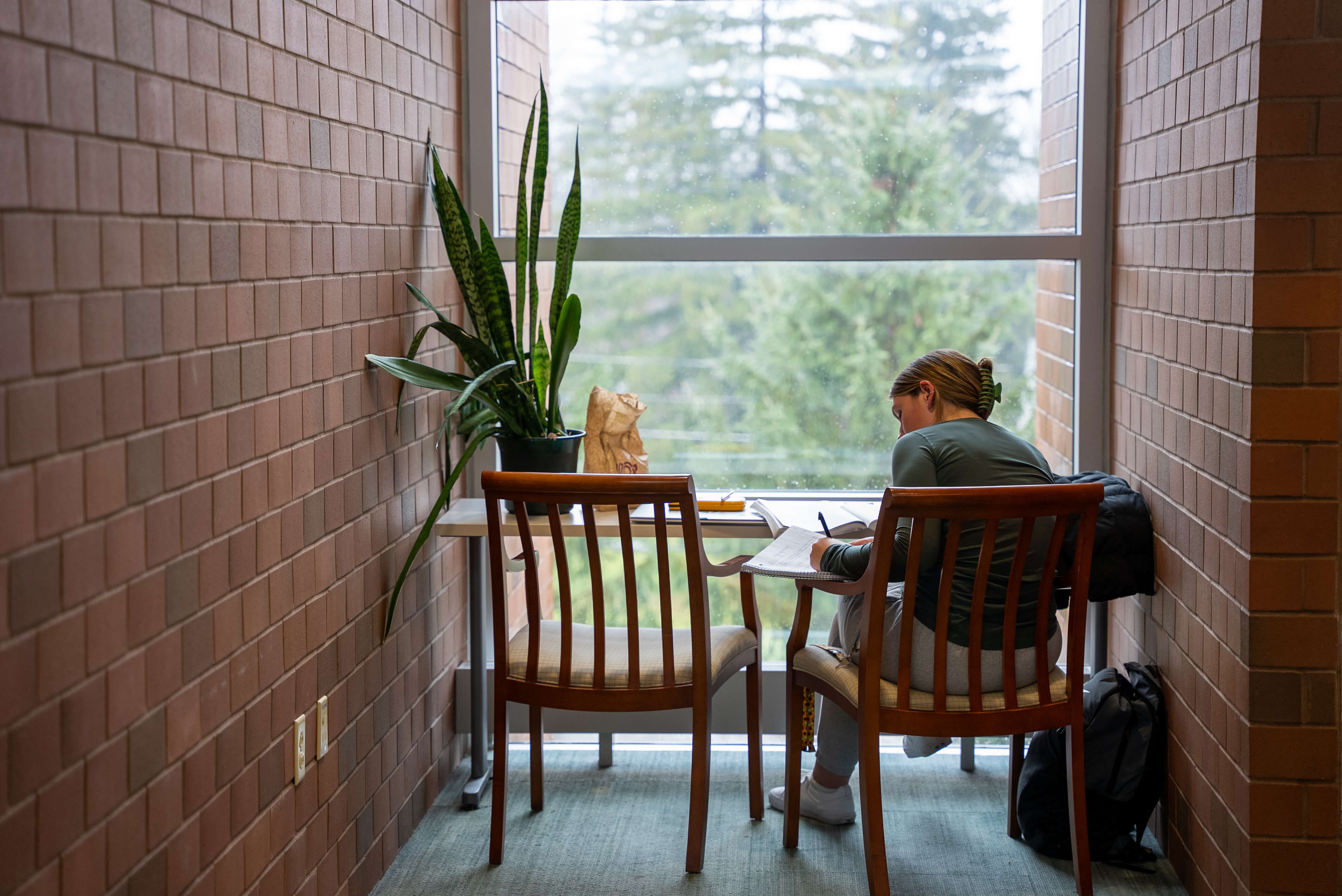 student studying near a window